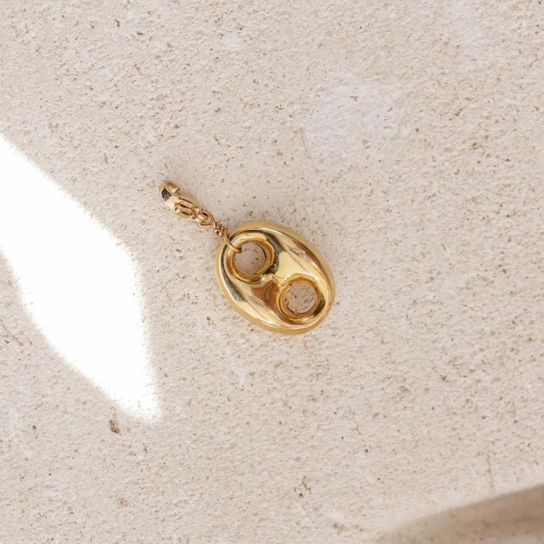 Enesea Gold Link Charm